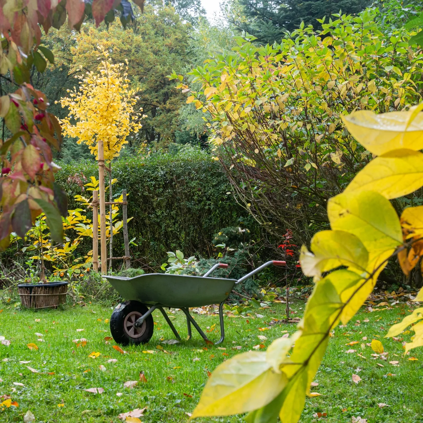 Herbstgarten im Naturgarten