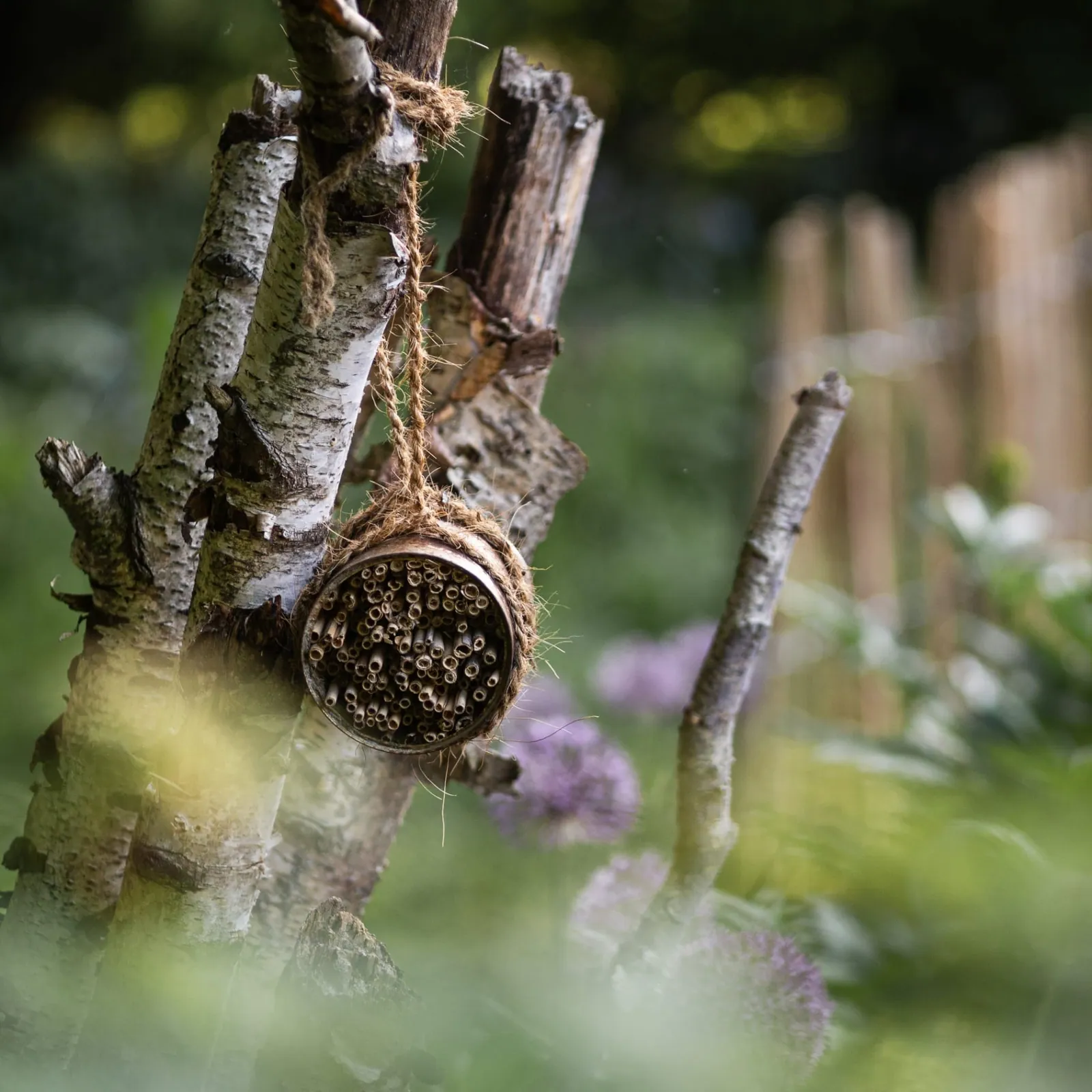 Bienenhotel im Naturgarten