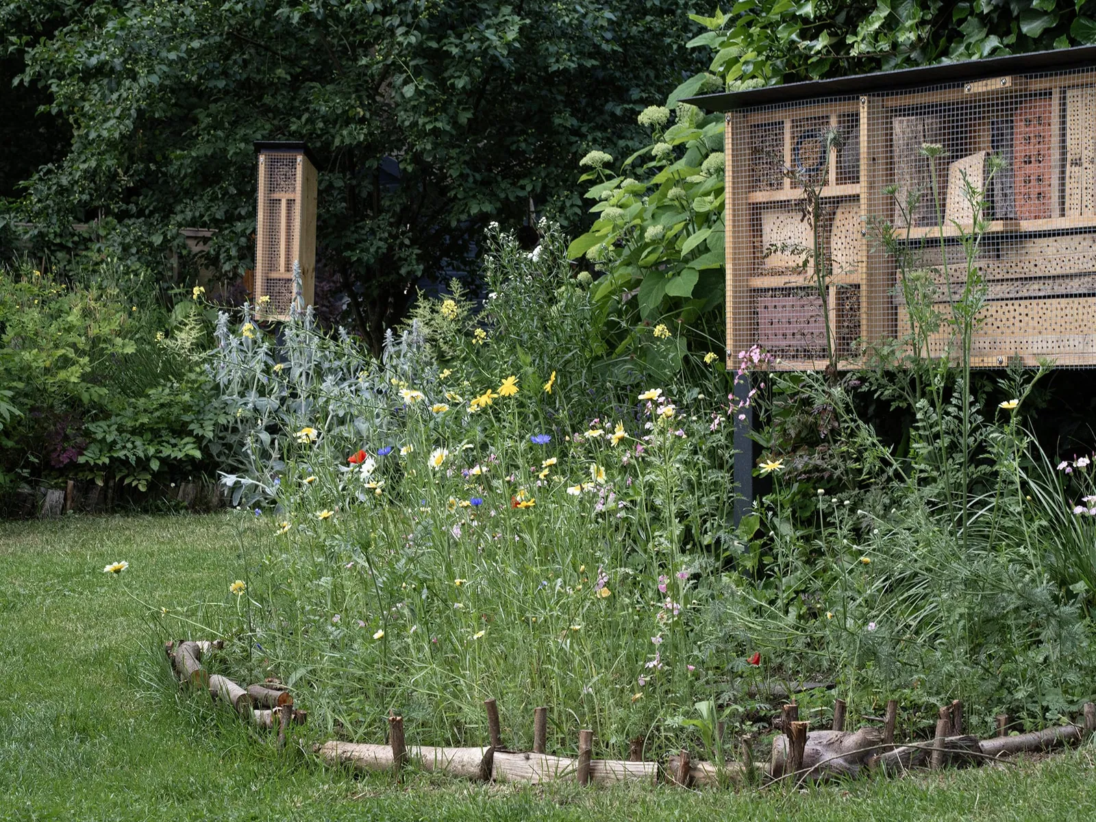 Wildbienennistkästen und Blühwiese im Naturgarten
