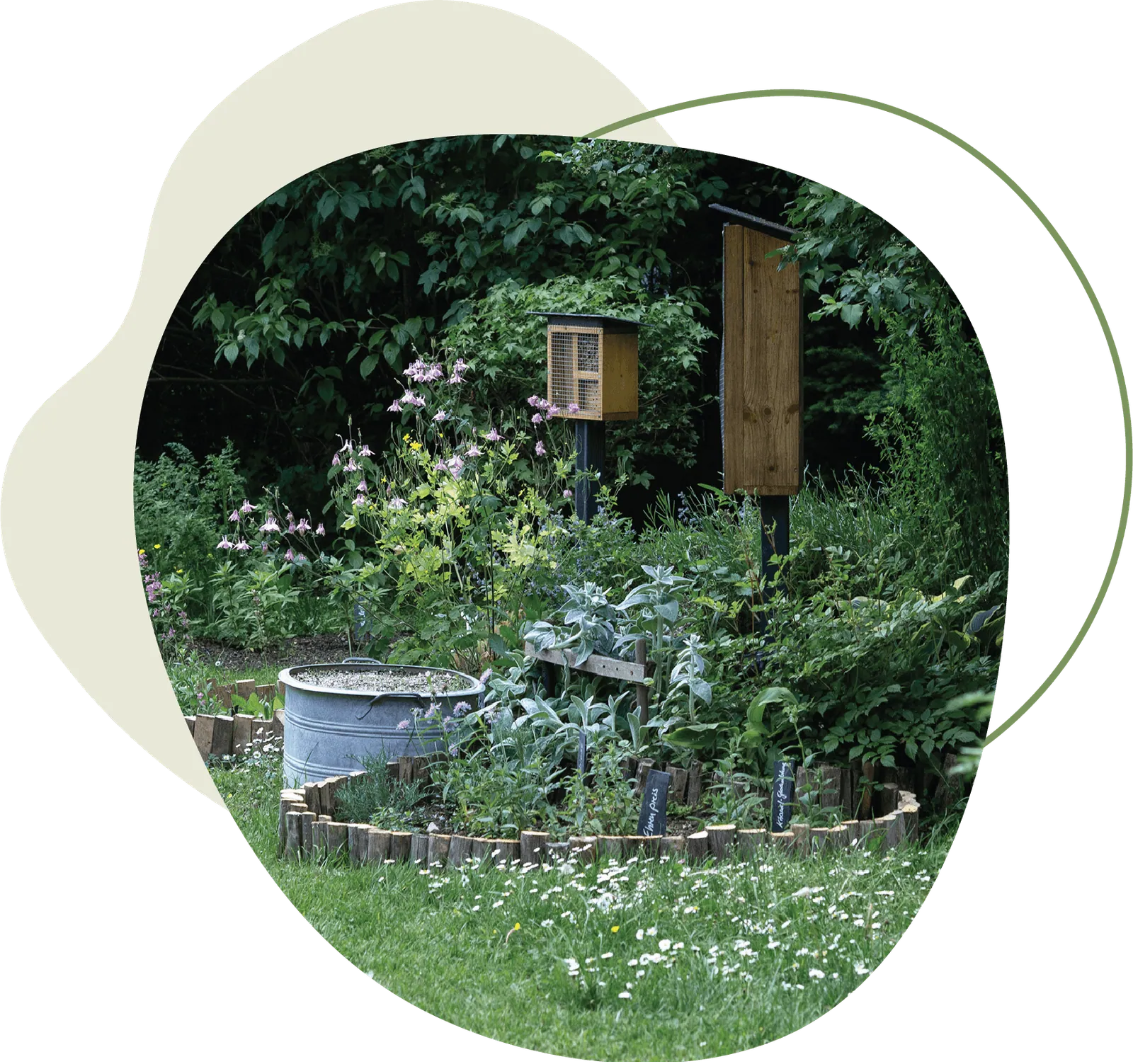 Naturgarten mit Insektenhotel, Nistkasten, Metallwanne und Wildblumen